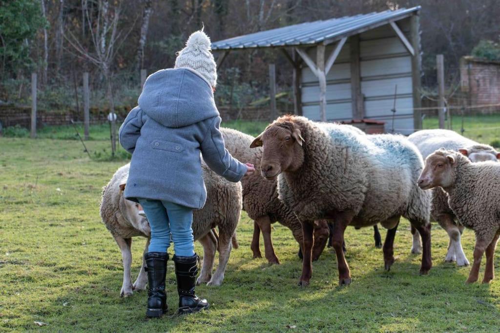 Maison Au Milieu Des Bois Et Des Animaux Jouy-le-Potier Exteriér fotografie