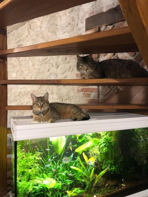 Maison Au Milieu Des Bois Et Des Animaux Jouy-le-Potier Exteriér fotografie