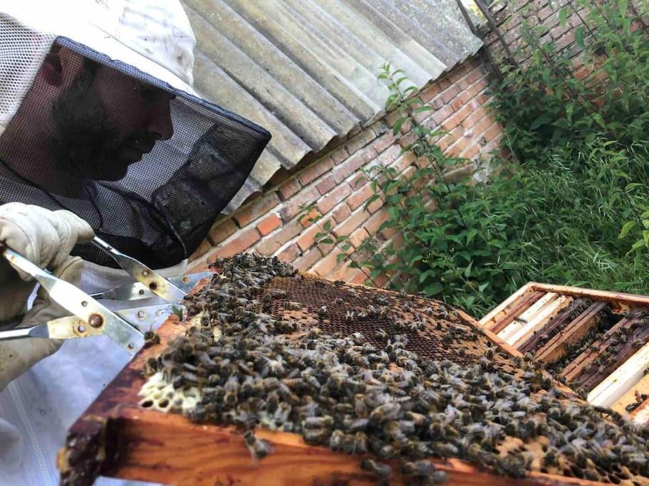 Maison Au Milieu Des Bois Et Des Animaux Jouy-le-Potier Exteriér fotografie